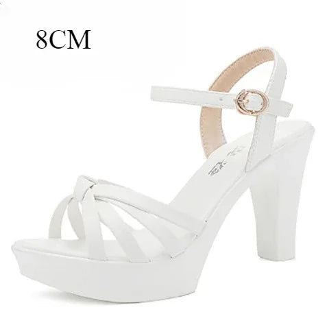 746439904-1
